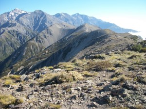 There's more to life than the kitchen!