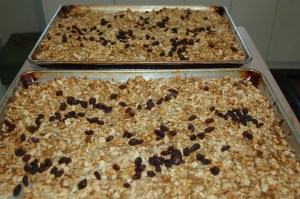 granola2 sm