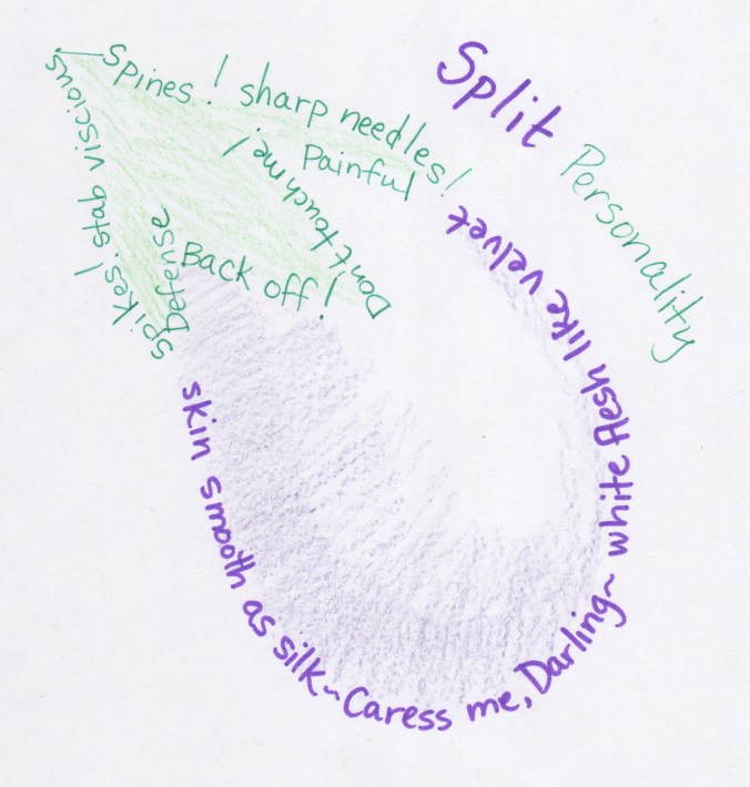 splitpersonalitypoem2