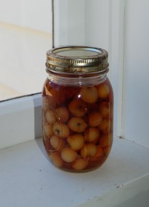 brandiedcherriesonwindowsillcrop