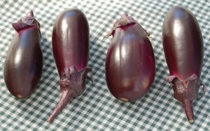 eggplants4cropsm