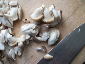 Oyster mushrooms1sm