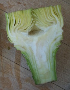 Nice and young--no need to remove the choke.