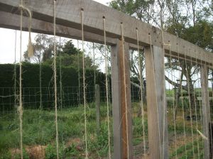 Trellis with jute