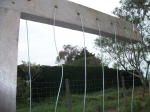Trellis with wire