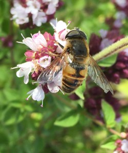 2016-01-14 17.14.44 crop