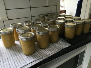 2016-01-16 14.12.39 sm