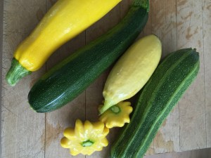 2016-01-16 17.22.14 HDR sm