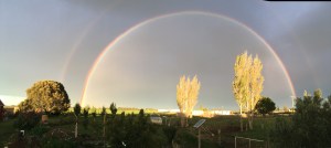 2016-01-25 20.44.42 sm