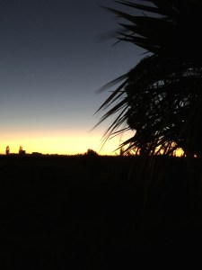 2016-02-04 05.55.31 sm