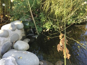 2016-02-15 18.48.44 sm