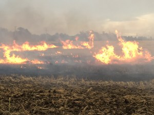 2016-02-17 08.58.04 sm