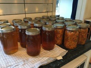 2016-03-06 19.55.54 sm