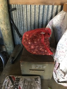 2016-03-20 15.33.57 sm