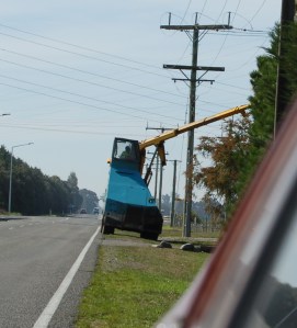 Here's another, snapped along the roadside on the way to town.