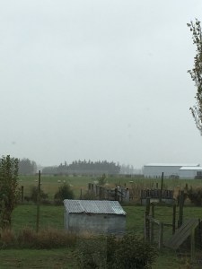 Somewhere out there...