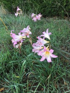 2016-04-14 08.43.56 sm