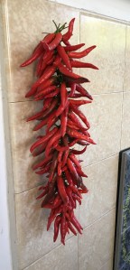 2016-04-19 12.51.22 crop