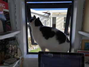 He wants to be a goat and a writer...