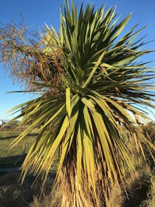 Lovely, but doesn't make me feel at home.