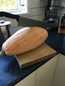 A jumbo pink banana squash--one of last year's winners.