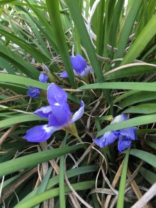 2016-07-07 11.00.58 sm