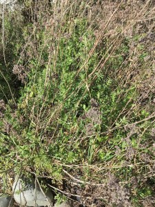 See no evil--list it instead.