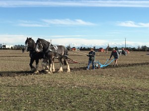 2016-08-20 11.22.21 sm