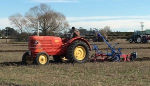 2016-08-20 11.32.18 crop