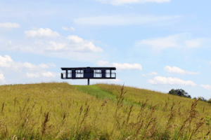 Photo: OMI International Arts Center; http://artomi.org/page.php?Alex-Schweder-Ward-Shelley-233