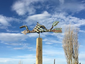 The wind blows hard from the northwest.