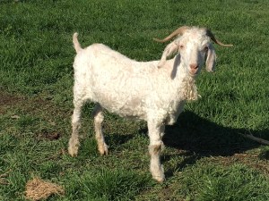 2016-09-10-14-46-41-sm