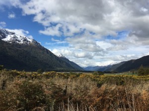 Looking up Otira Valley