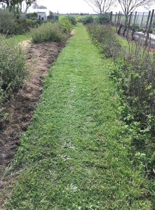 2016-10-08-16-01-56-sm