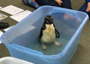 2016-10-11-14-40-35-crop