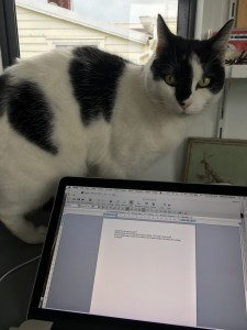 2016-11-01-18-45-54-hdr-sm