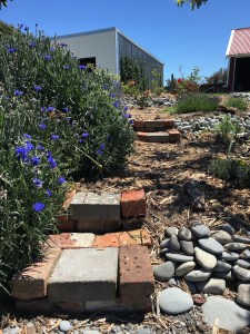 2016-11-22-13-37-28-sm