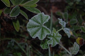 Will we wake up to this tomorrow?