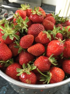 2016-11-30-17-31-25-sm