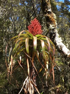 2016-12-28-11-03-04-sm