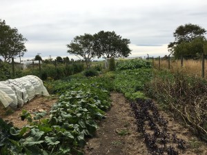 2017-01-24-15-13-32-sm