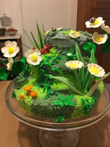 2017-01-26-21-49-17-sm