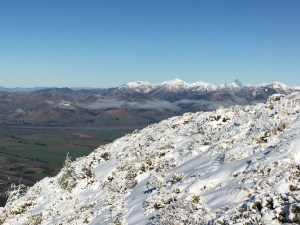 view from Mt Isobel