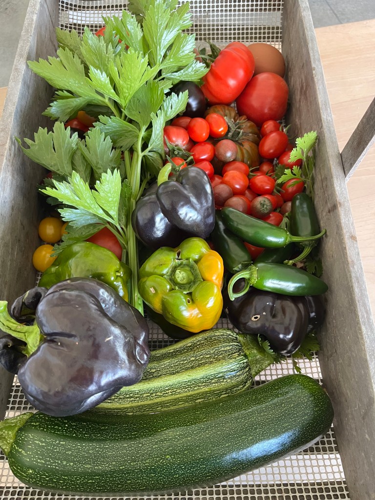 basket of vegetables
